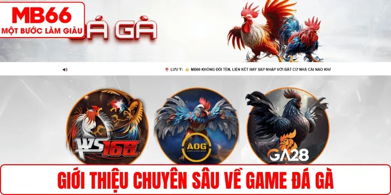 Giới thiệu chuyên sâu về game đá gà