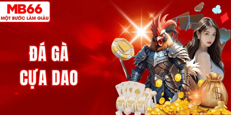 Đá Gà Cựa Dao MB66 – Xem Các Trận Đấu Nảy Lửa, Thưởng Cao