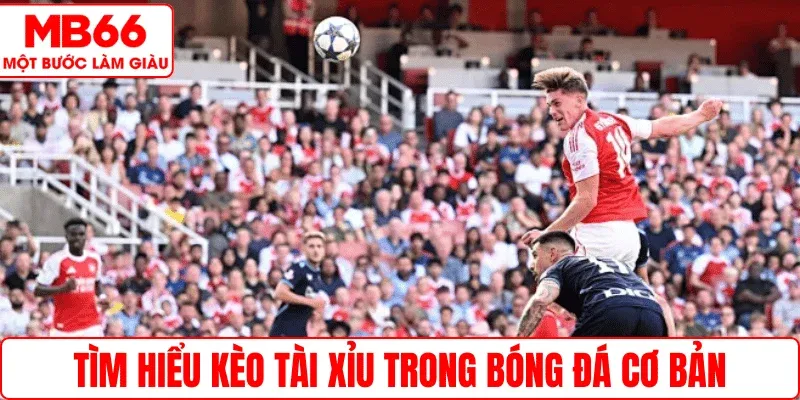 Tìm hiểu kèo Tài Xỉu trong bóng đá cơ bản