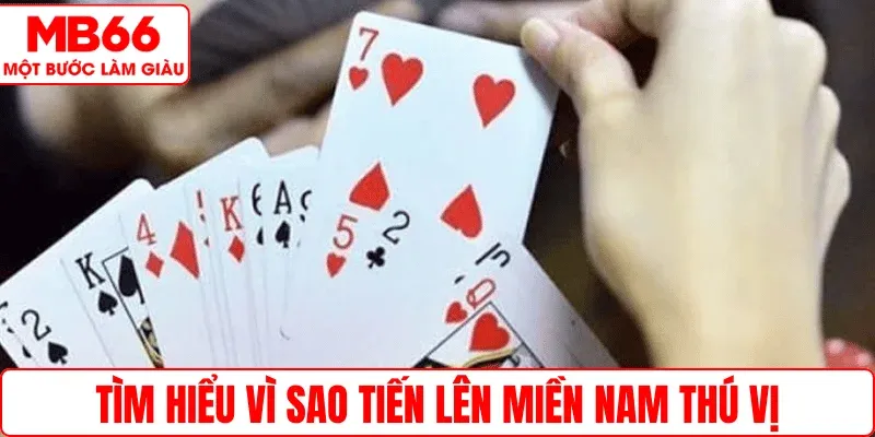 Tìm hiểu vì sao Tiến Lên Miền Nam thú vị