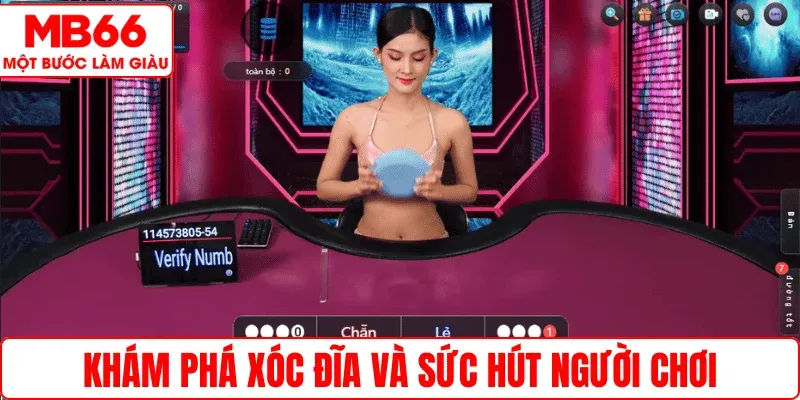 Khám phá Xóc Đĩa và sức hút người chơi