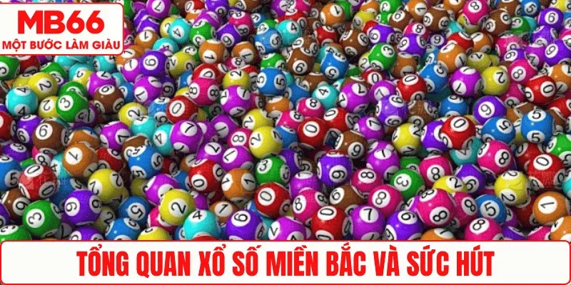 Tổng quan xổ số miền Bắc và sức hút
